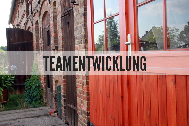 Teamentwicklung
